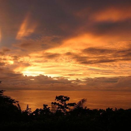 Villa Vista Hermosa - With Breathtaking Ocean View & Wifi Quepos Exterior photo