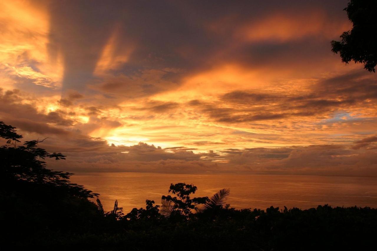 Villa Vista Hermosa - With Breathtaking Ocean View & Wifi Quepos Exterior photo